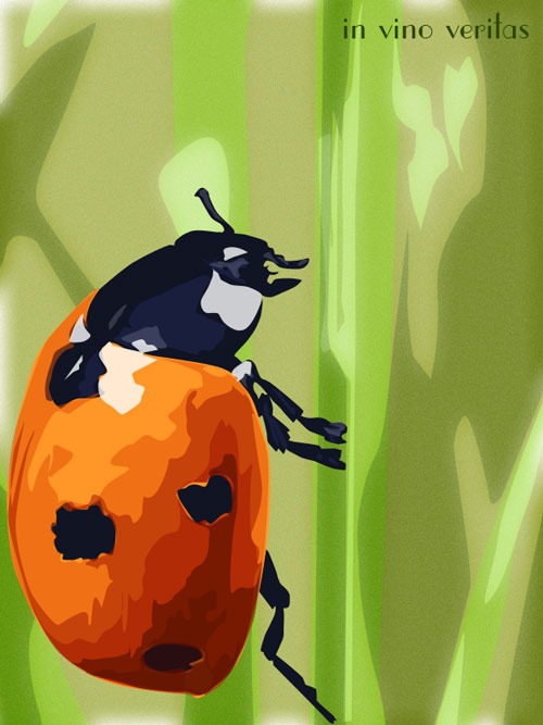 Ladybird